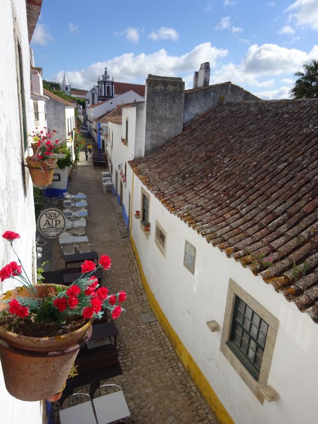 ご機嫌な朝を迎えております（〓＾○＾〓）/