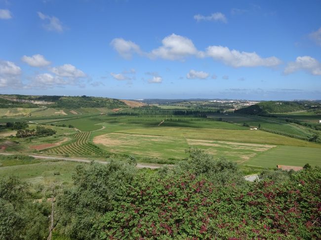 眺めは悪くないけれど…