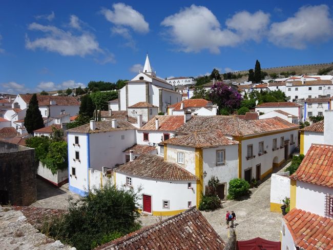 かわいいお家がいっぱい(〓⌒(∵ ε ∵)⌒〓)