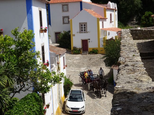 観光馬車もあるみたい(〓・(∵○∵)・〓)