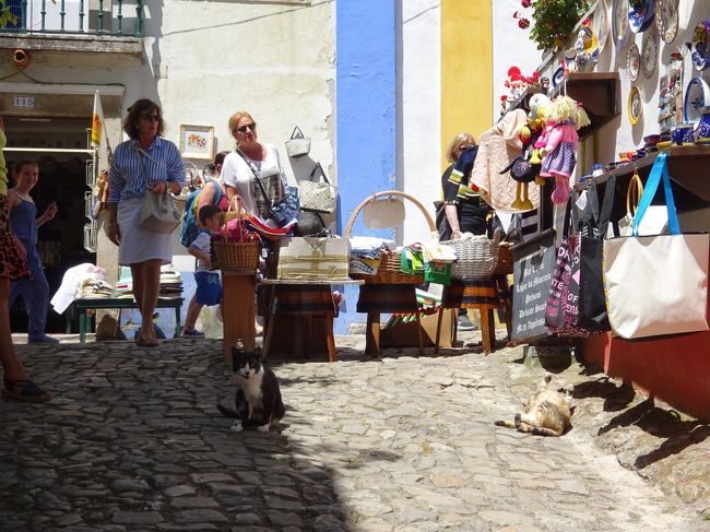 土産物屋の無防備に寝そべる猫(〓￣▽￣〓)ノ