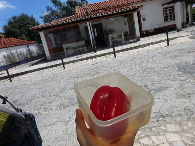 パプリカも食べてな<br /><br /><br />リスボン経由で<br />次はアゼイタオンへ