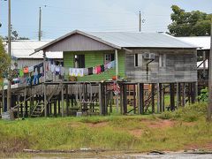 【～アマゾン河 川岸の眺め～】

満潮時或いは雨季には、ここまで水位が上がると言う事ですね～