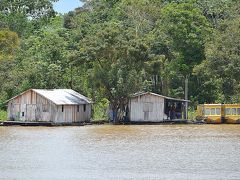 【～アマゾン河 川岸の眺め～】

きっと、あの警備艇のような船のオーナーの住処です。