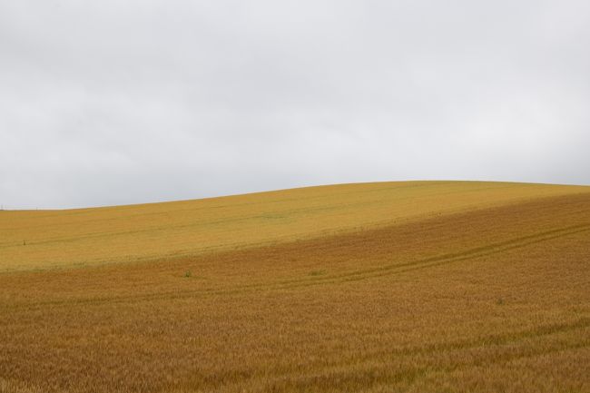 丘の風景も楽しんで来ましたよ♪<br /><br />