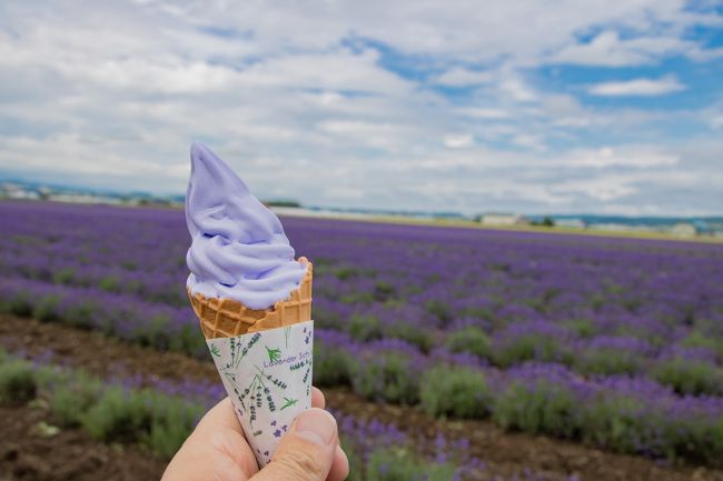 ファーム富田は翌日の早朝に行って<br />売店の開店前には撤収する予定なので<br />ここでファーム富田の製品を幾つか購入しました。<br />ラベンダーオイルのスプレーがお気に入りです。<br /><br />そして名物のソフトクリーム♪<br /><br />