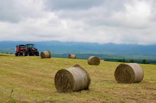 続いて行ったのが<br />「旭野やまびこ高地」<br />十勝岳連峰の絶景が目の前に見られるのですが<br />この日は山々は雲の中・・・。<br />残念です。