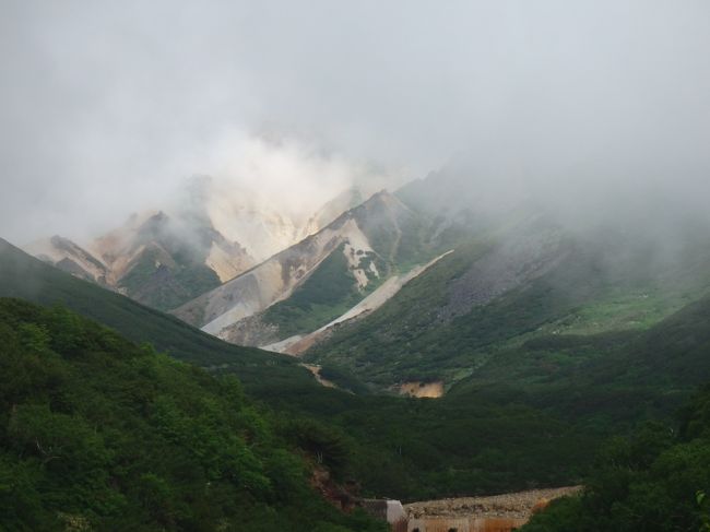 山はガスが掛かってましたが<br />それでも雄大な風景を眺めながらの入浴は最高でした。<br />露天風呂は温度の違う浴槽が二つあるので<br />交互に入って長湯が出来ちゃいます。<br /><br />