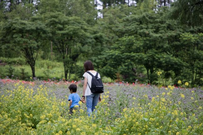 平日にもかかわらず<br />朝早くから多くの方が来ていましたが<br />団体客はいなので静かに散策出来ました。<br /><br />