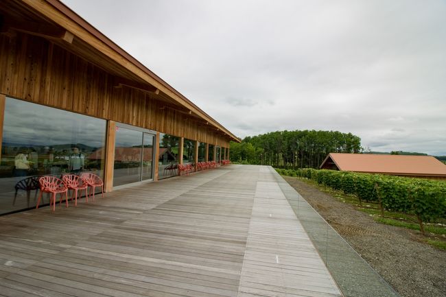 ブドウ畑を見渡せるこのテラスも素敵ですねぇ。<br />山が見えかったのが本当に残念です。<br />