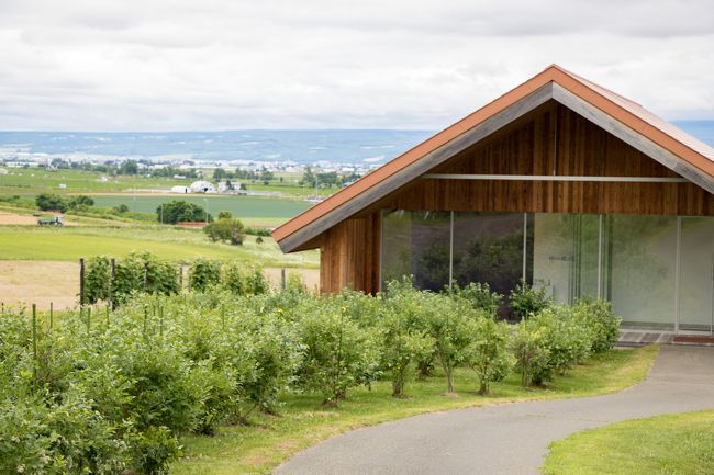 別棟に「神々の遊ぶ庭」という<br />ギャラリーがありまして<br />この時はイサムノグチ氏の作品の写真展がありました。<br /><br />建物の前の植物はブルーベリーです。<br />たくさんの実がなっていました。<br />