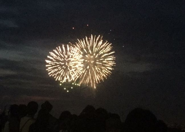 港の見える丘公園から見た花火 横浜 神奈川県 の旅行記 ブログ By Shiropanさん フォートラベル