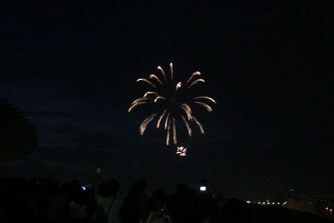 港の見える丘公園から見た花火 横浜 神奈川県 の旅行記 ブログ By Shiropanさん フォートラベル