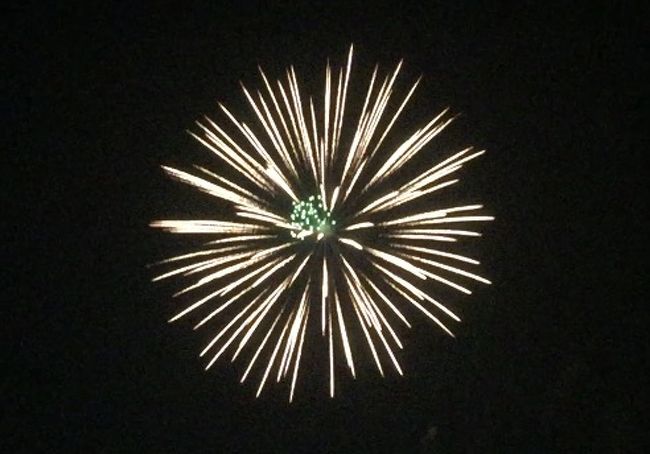 港の見える丘公園から見た花火 横浜 神奈川県 の旅行記 ブログ By Shiropanさん フォートラベル