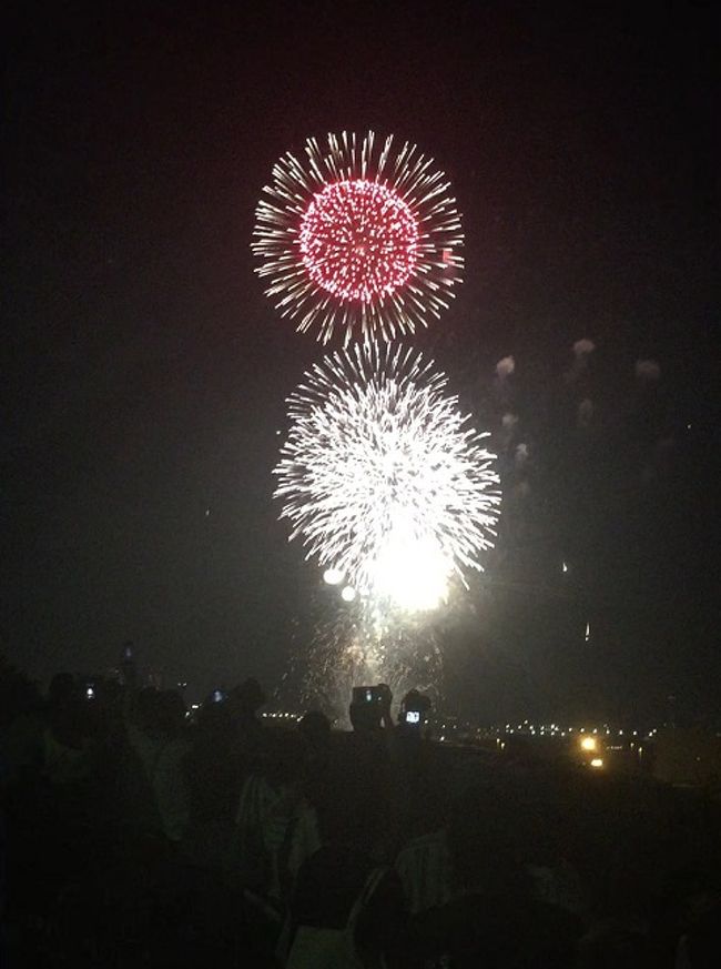 港の見える丘公園から見た花火 横浜 神奈川県 の旅行記 ブログ By Shiropanさん フォートラベル
