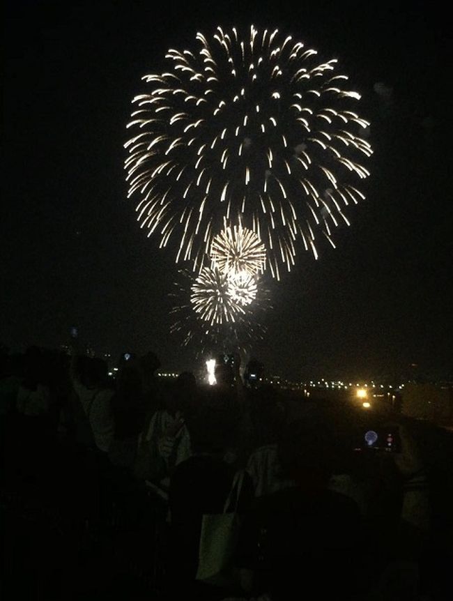 港の見える丘公園から見た花火 横浜 神奈川県 の旅行記 ブログ By Shiropanさん フォートラベル