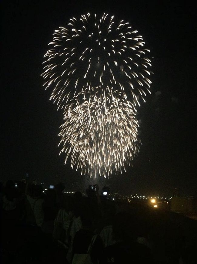 港の見える丘公園から見た花火 横浜 神奈川県 の旅行記 ブログ By Shiropanさん フォートラベル