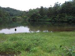 寄り道して御苗代湖に、よくみると手前にハクサンチドリが