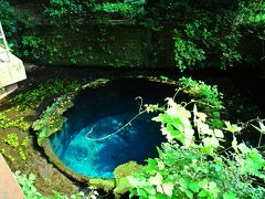 そして、15時過ぎに私が楽しみにしていた柿田川湧水群へと向かう。
バスが走るのは国道1号線。
道路脇には大型の家電量販店が立ち並ぶような賑やかな道だ。

本当に、こんな町の中に日本三大清流と言われる川があるの!?
と疑ってしまいたくなるような街の中をバスは走る。

そして、街角の駐車場にバスは止まり、そこから歩いて清流の湧き出る所まで向かう。
駐車場から水源までは少し距離があるので、ガイドさんの先導で移動する。

案内された水が湧き出る水源。
そこには、透き通る青い水がこんこんと湧き出る泉があった。