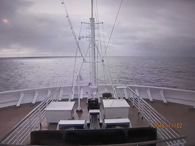 今日は、天気がいまいちでした。