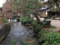 地蔵川と百日紅、そして梅花藻と…
とても画になる景色です。

毎年訪れても飽きない景色で
どこかホッとする場所です。