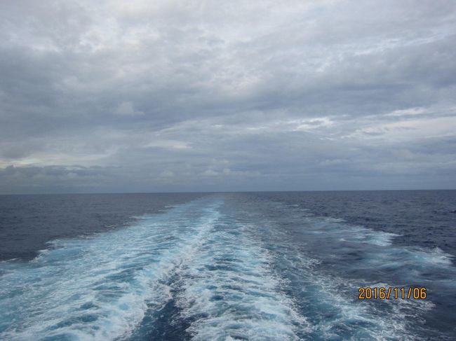 今日の、航跡です。