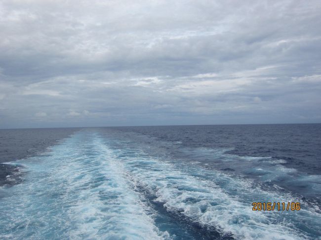 今日の、航跡です。