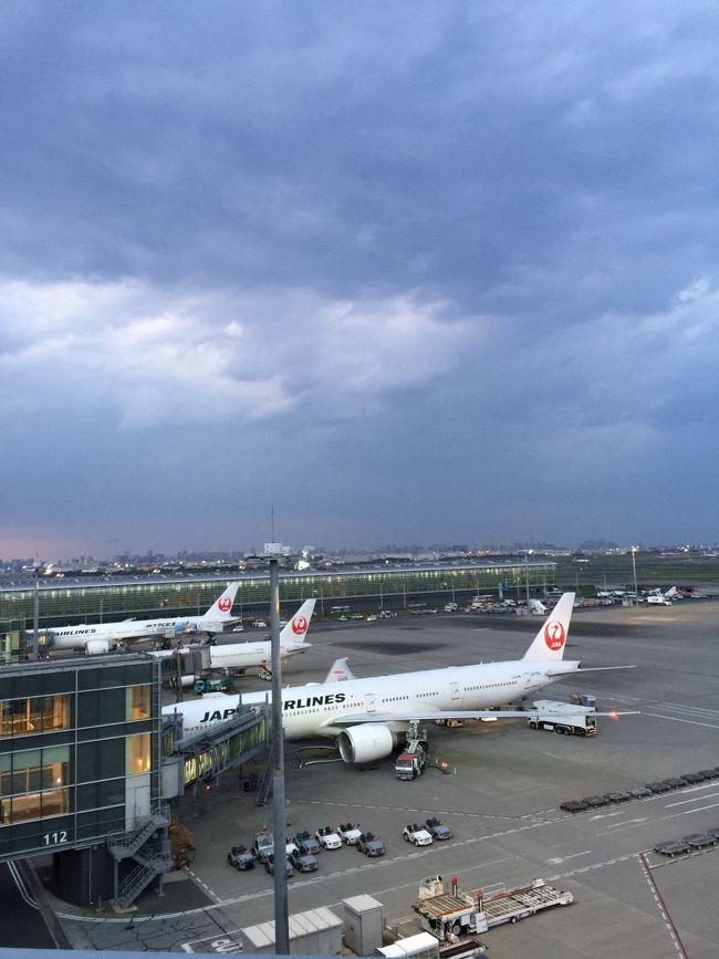 でも紅組になってしまう。<br /><br />今夜乗るのは赤だけどAirAsia