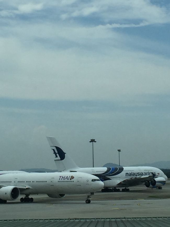 それぞれの国を代表するエアラインが次々と姿を<br />現す。