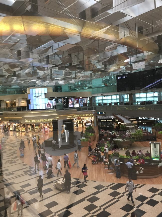 チャンギ国際空港は美しく華やいでいる。年内にターミナル4がオープンし、なんとターミナル5も建設中というから驚く。<br /><br />21:20 JAL36便プレミアムエコノミーで帰国。<br />前が壁の広い席にしたので疲れはそれほどない。中途半端な気もするので<br />どうせならビジネスだが、、。<br /><br />何をしに行ってきたのかよくわかん。お得感を求め海外発券のプレエコ<br />を利用してみただけ？<br /><br />秋に成田からKLのフライトが残っているので、KLからベトナム、香港などを<br />経由し今度は真面目に旅行記にしてみたい。<br /><br />おっと、トーレスの声がする『Next』私の番だ、