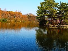 練馬-2　都立石神井公園　ひとめぐり　1
