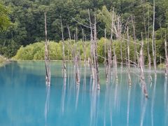 そして次は青い池。

前回は大雨後であまりキレイではなかったので
リベンジの為に来ました。

前回はオフシーズンで
ほとんどお客さんはいなかったのですが
ハイシーズンの青い池はとにかく凄い人！
ツアーバスもバンバンやって来ます。
