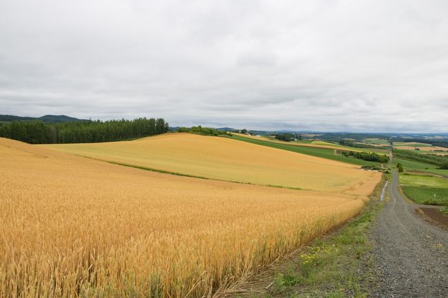 大通りよりも<br />ローカルな道の方が<br />素敵な景色が見られますよ。