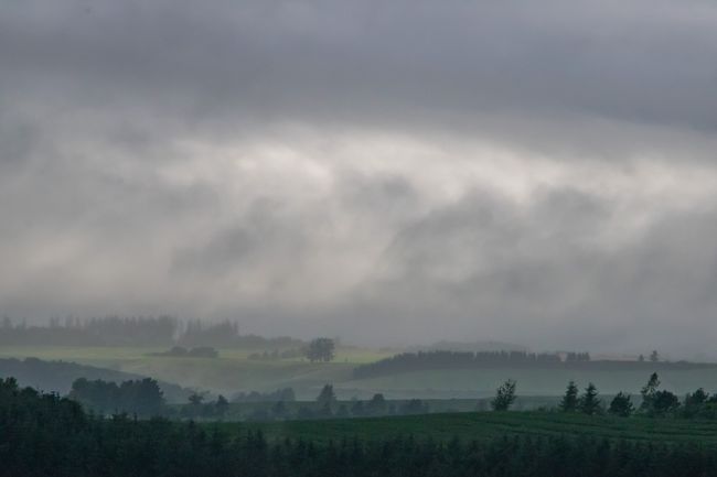 これはこれで幻想的な風景ですかね<br />