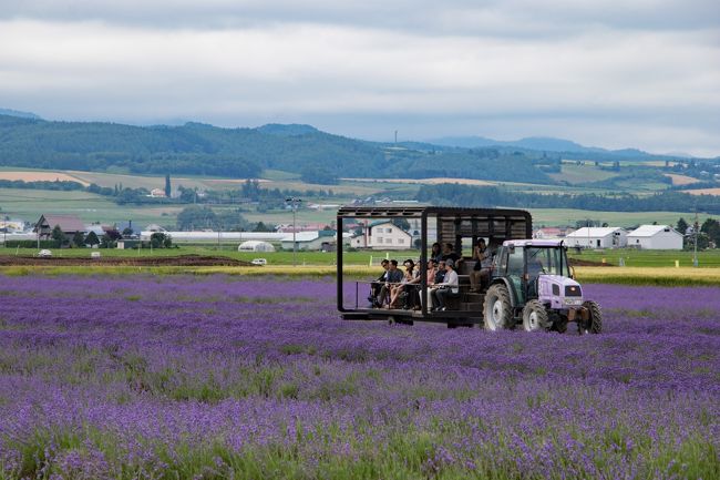 畑の中は立ち入り禁止で<br />このトラクターに乗らないと<br />園内を一周できません。<br />