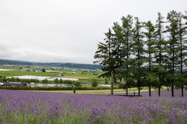 敷地は広いので<br />この時間は人があまり写り込まない写真が撮れます。