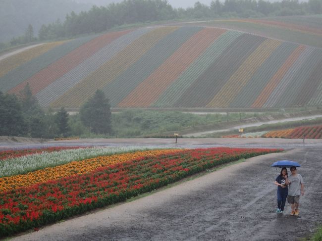 自転車で丘巡りをしていた方達は<br />本当に気の毒でした。<br />みんな風邪を引かなかったかなぁ・・・。<br />