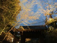 次は
高台寺の桜に レッツゴー♪