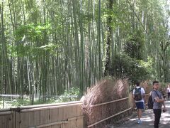 佐賀の目指して竹林の小径へ。

この辺まではアジアの人で一杯です。