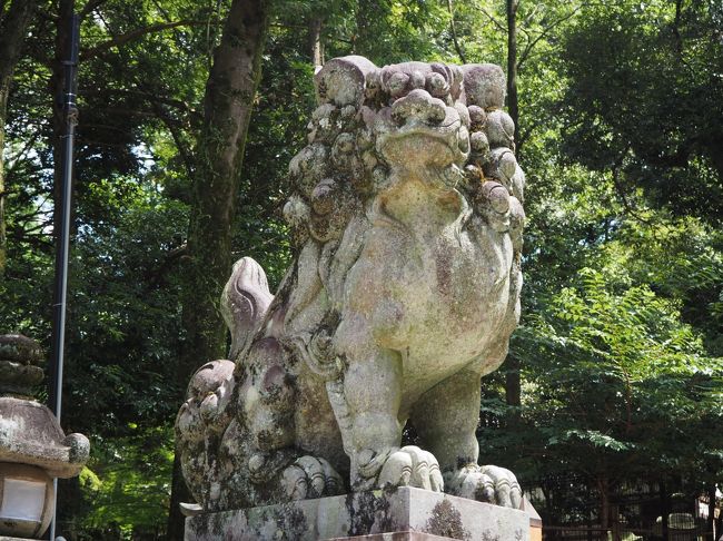 駐車場から参道にはいれば、すぐこの狛犬さんが迎えてくれます。