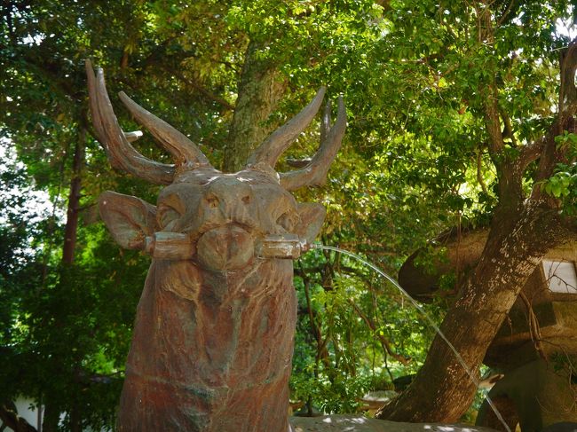 伏鹿手水所です。