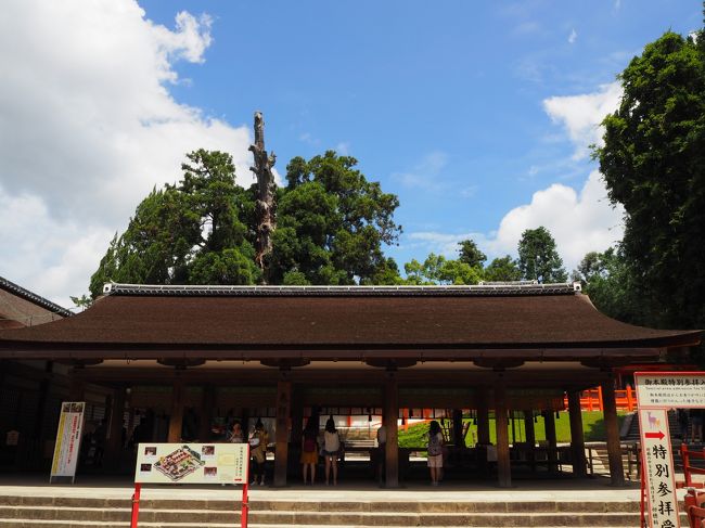 幣殿・舞殿（へいでん・ぶでん）で参拝します、