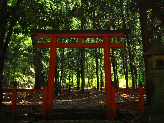 いつも神秘的な本宮神社遥拝所。<br />ここから、御蓋山（みかさやま）の頂上にお祀りされている本宮神社を拝みます。<br />緑が眩しい。