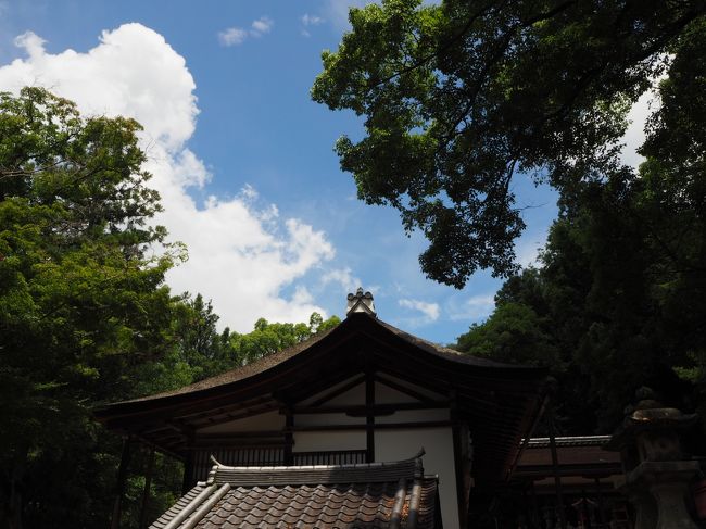 夫婦大國社から見た景色。<br />正面に神楽殿の屋根。<br />その手前に、先ほどの手水舎の屋根。