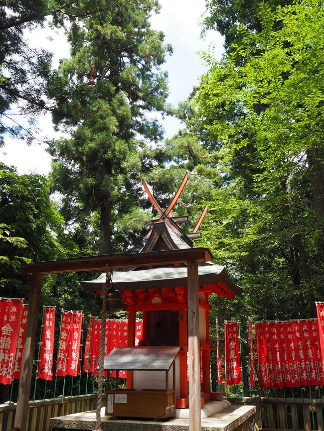 金龍神社です。<br />開運はもちろん、財運の神さまです。<br />気のせいか、丁寧にお参りする人が多い。<br />