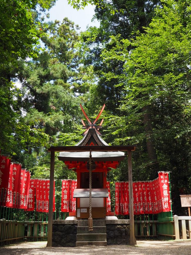 金龍大神さまにご挨拶して、上の禰宜道へ。