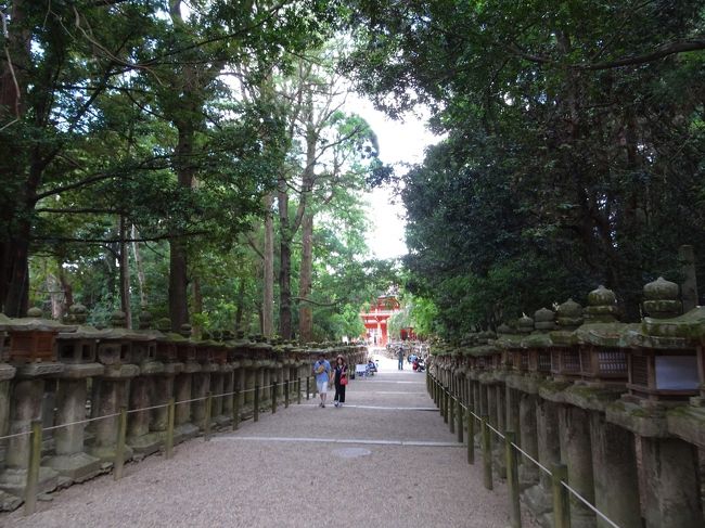 その道を歩いていくと、南門が見えてきます。