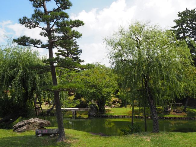 奈良公園を歩いていきます。