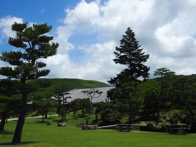 奈良春日野国際フォーラムの向こうに若草山。