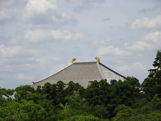 向こうには大仏殿。